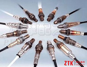 Oxygen sensor