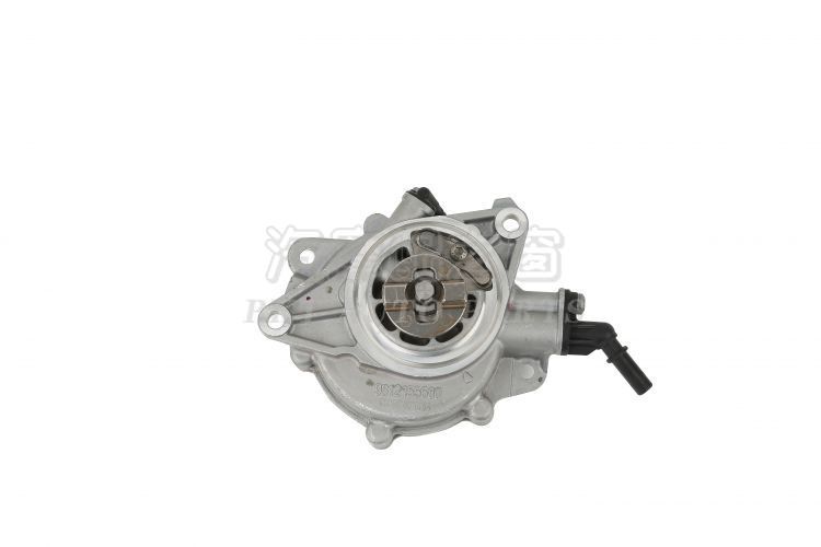 Brake vacuum booster pump
