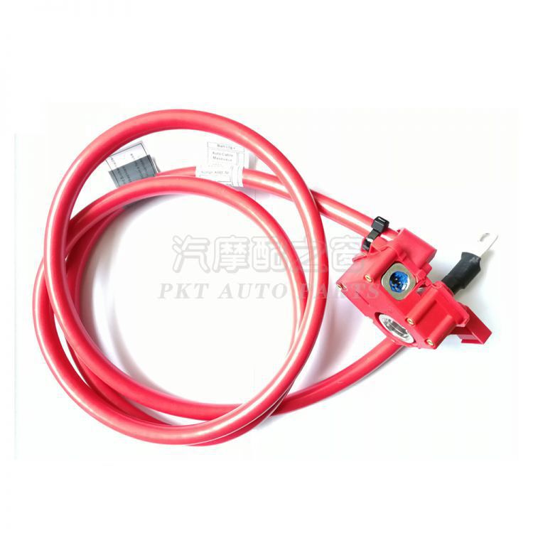 Battery fuse cable