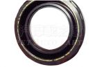 Oil seal