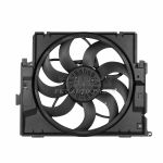 Radiator Fan