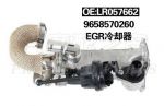 EGR valve cooler