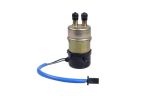 Electronic fuel pump