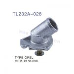 Thermostat, coolant