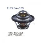 Thermostat, coolant