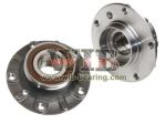 Wheel Hub Bearing