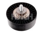 Idler Pulley