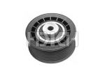 Idler Pulley