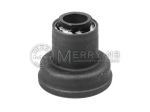 Control Arm Bushing