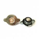 OIL CAP