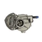 Brake vacuum pump