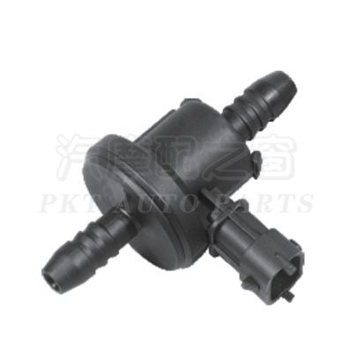 Carbon can solenoid valve