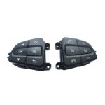 Multifunctional steering wheel control buttons