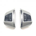 Multifunctional steering wheel control buttons