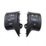 Multifunctional steering wheel control buttons