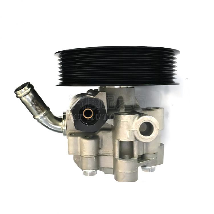 POWER STEERING PUMP
PASSENGER CAR SERIES