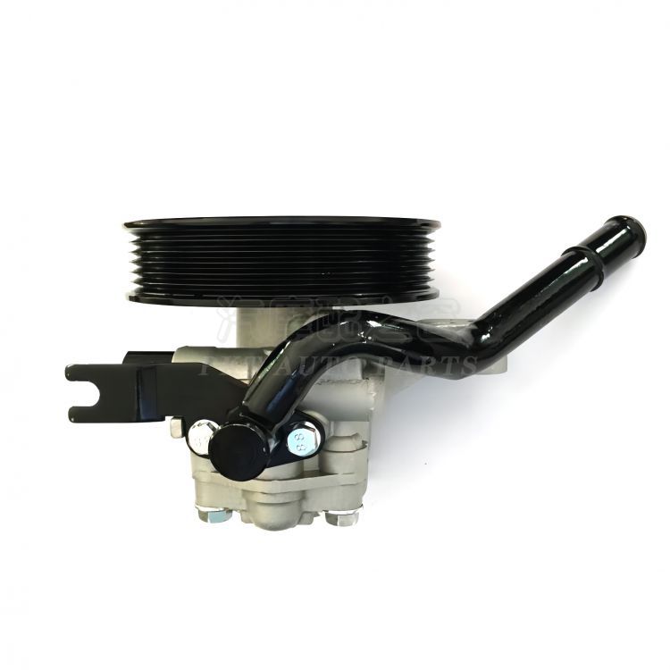 POWER STEERING PUMP
PASSENGER CAR SERIES