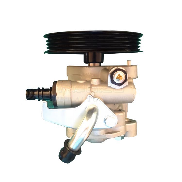 POWER STEERING PUMP
PASSENGER CAR SERIES